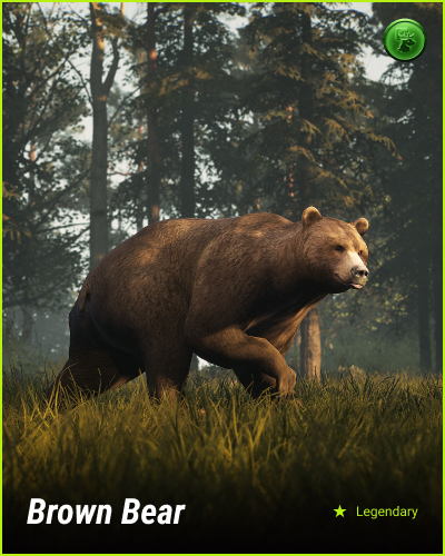 Brown Bear Metashooter